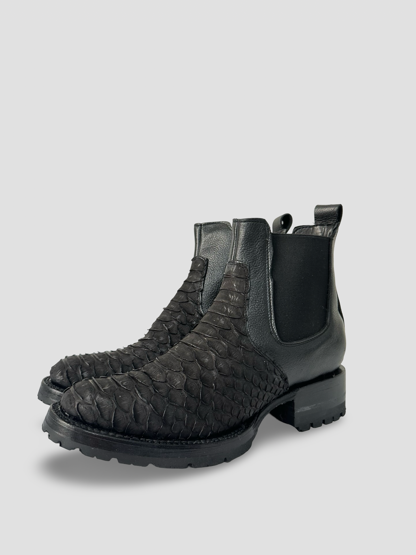 Pitón Negro Escama Jumbo